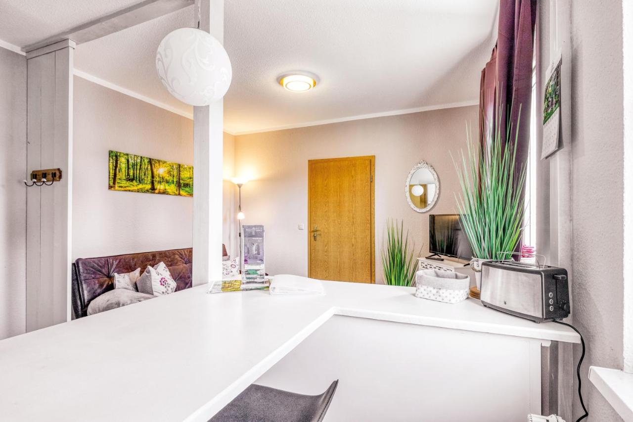 Ferienwohnung Ziesing Friedrichsbrunn 塔勒 外观 照片