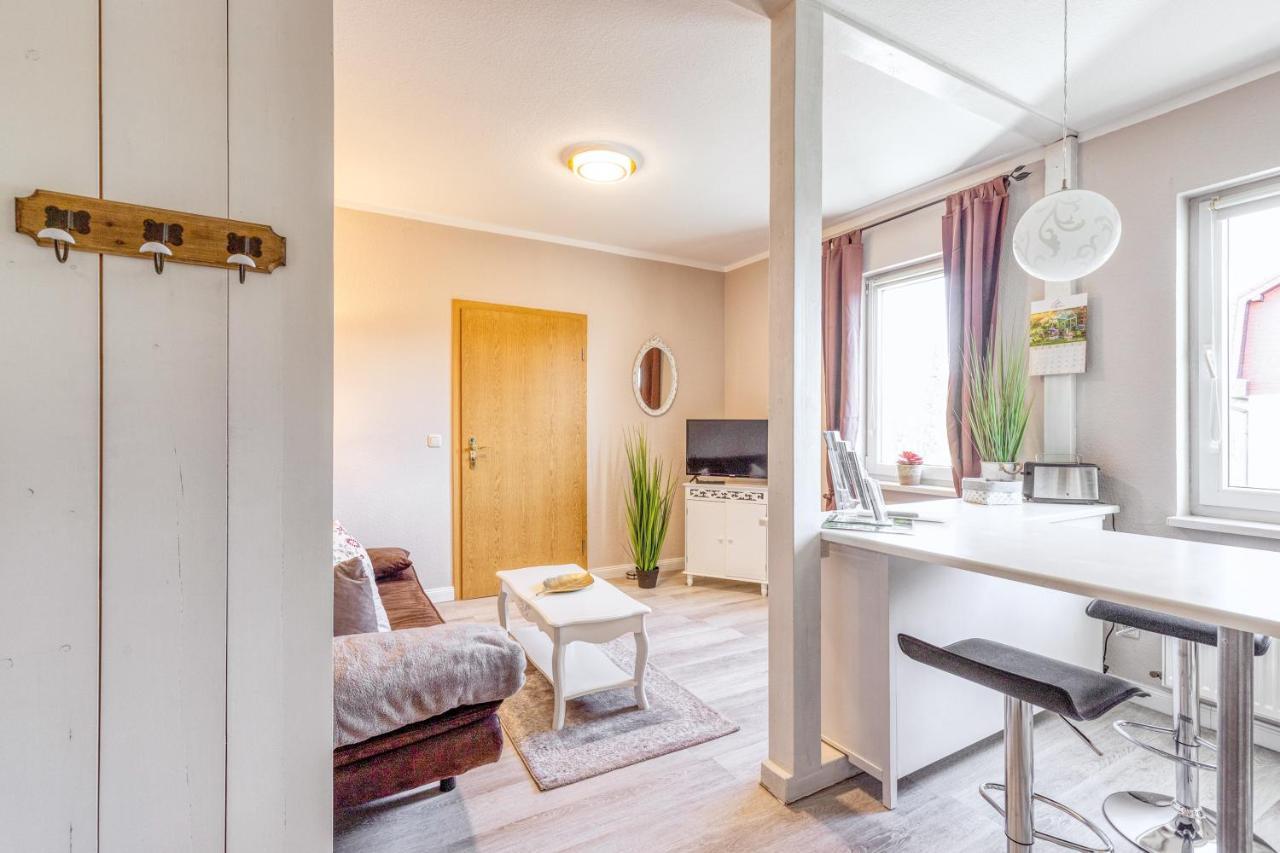 Ferienwohnung Ziesing Friedrichsbrunn 塔勒 外观 照片