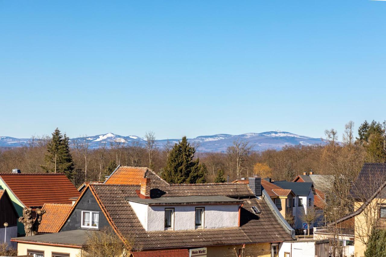 Ferienwohnung Ziesing Friedrichsbrunn 塔勒 外观 照片